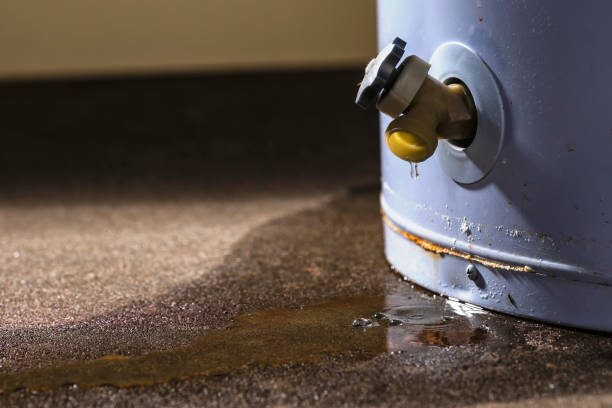Best Water damage restoration cost  in Orleans, VT