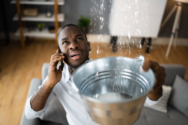 Best Mold removal after water damage  in Orleans, VT