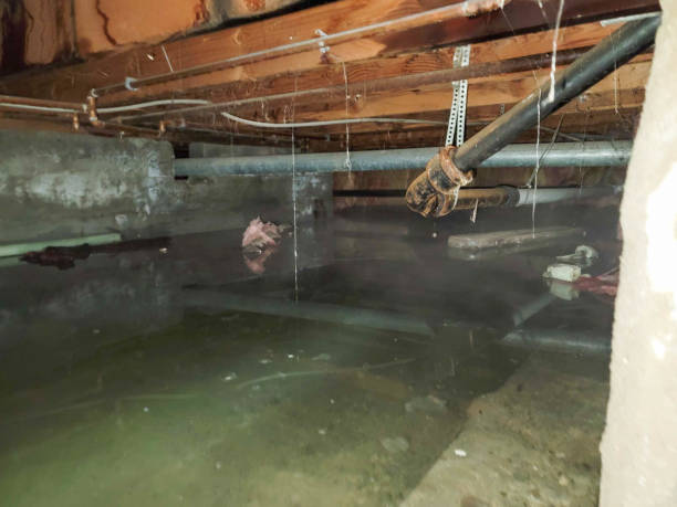 Best Emergency water extraction  in Orleans, VT
