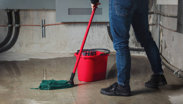 Best Residential water damage restoration  in Orleans, VT