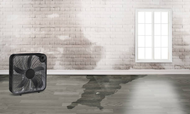 Best Local water damage restoration  in Orleans, VT