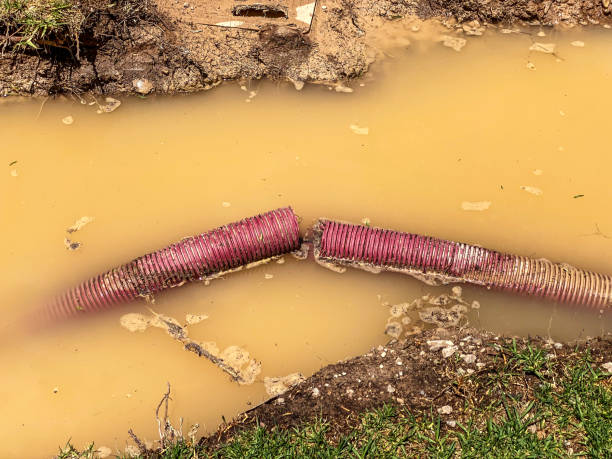 Professional Water damage restoration in Orleans, VT