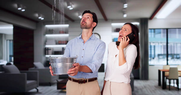 Best Water damage restoration mold remediation  in Orleans, VT